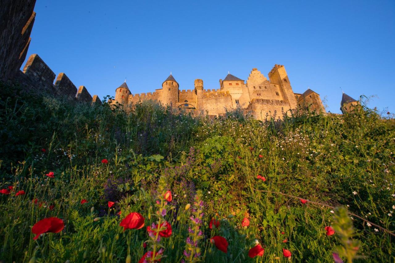 Tout Confort ! Calme, Climatisation, Parking Gratuit, Grande Terrasse, Ascenseur, Wifi Carcassonne Dış mekan fotoğraf