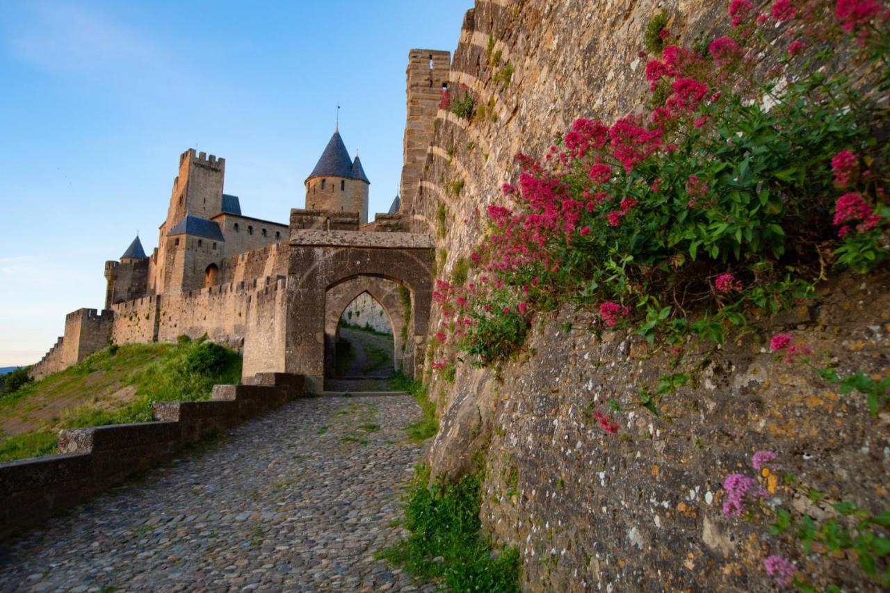 Tout Confort ! Calme, Climatisation, Parking Gratuit, Grande Terrasse, Ascenseur, Wifi Carcassonne Dış mekan fotoğraf
