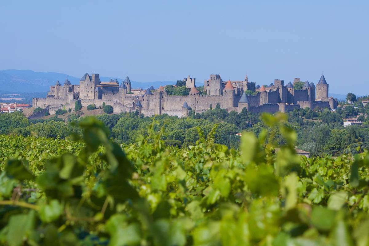 Tout Confort ! Calme, Climatisation, Parking Gratuit, Grande Terrasse, Ascenseur, Wifi Carcassonne Dış mekan fotoğraf